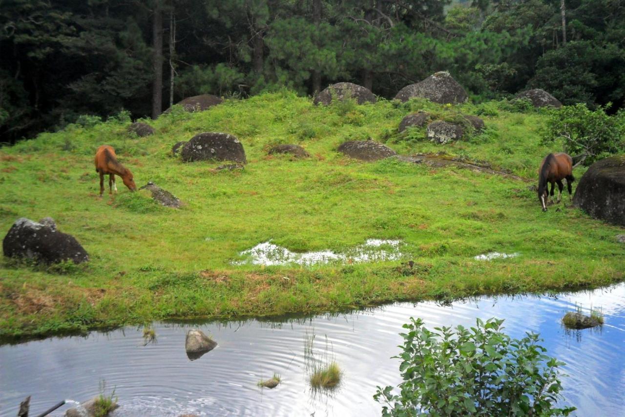 Вилла Fazenda Monte Verde A Morada Do Muriqui Сан-Франсиску-Хавьер Экстерьер фото