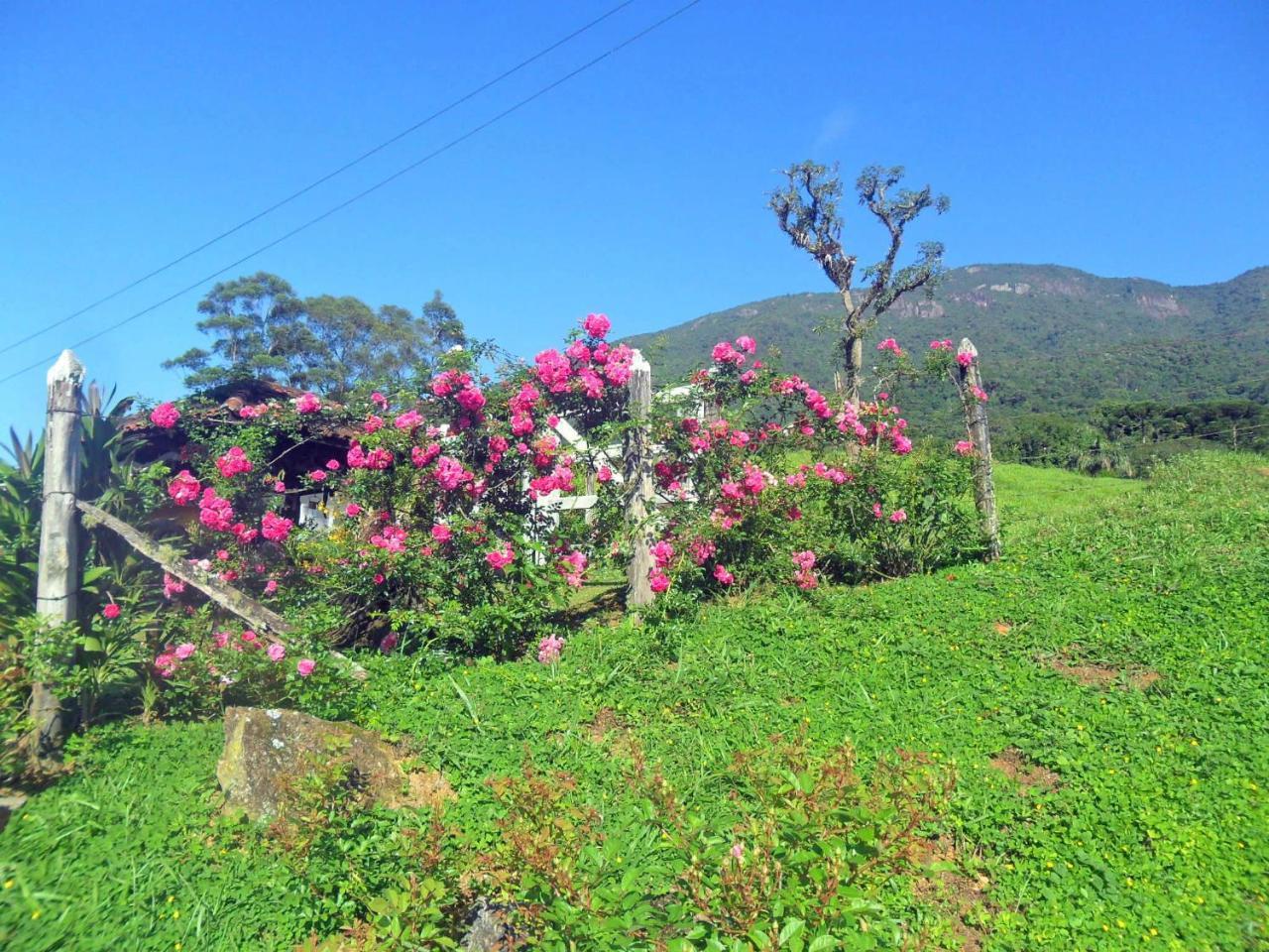 Вилла Fazenda Monte Verde A Morada Do Muriqui Сан-Франсиску-Хавьер Экстерьер фото