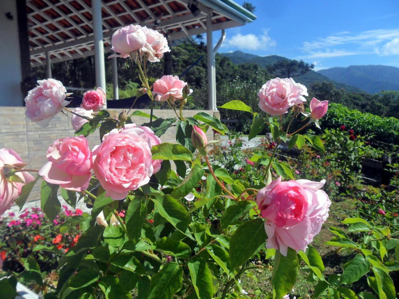 Вилла Fazenda Monte Verde A Morada Do Muriqui Сан-Франсиску-Хавьер Экстерьер фото