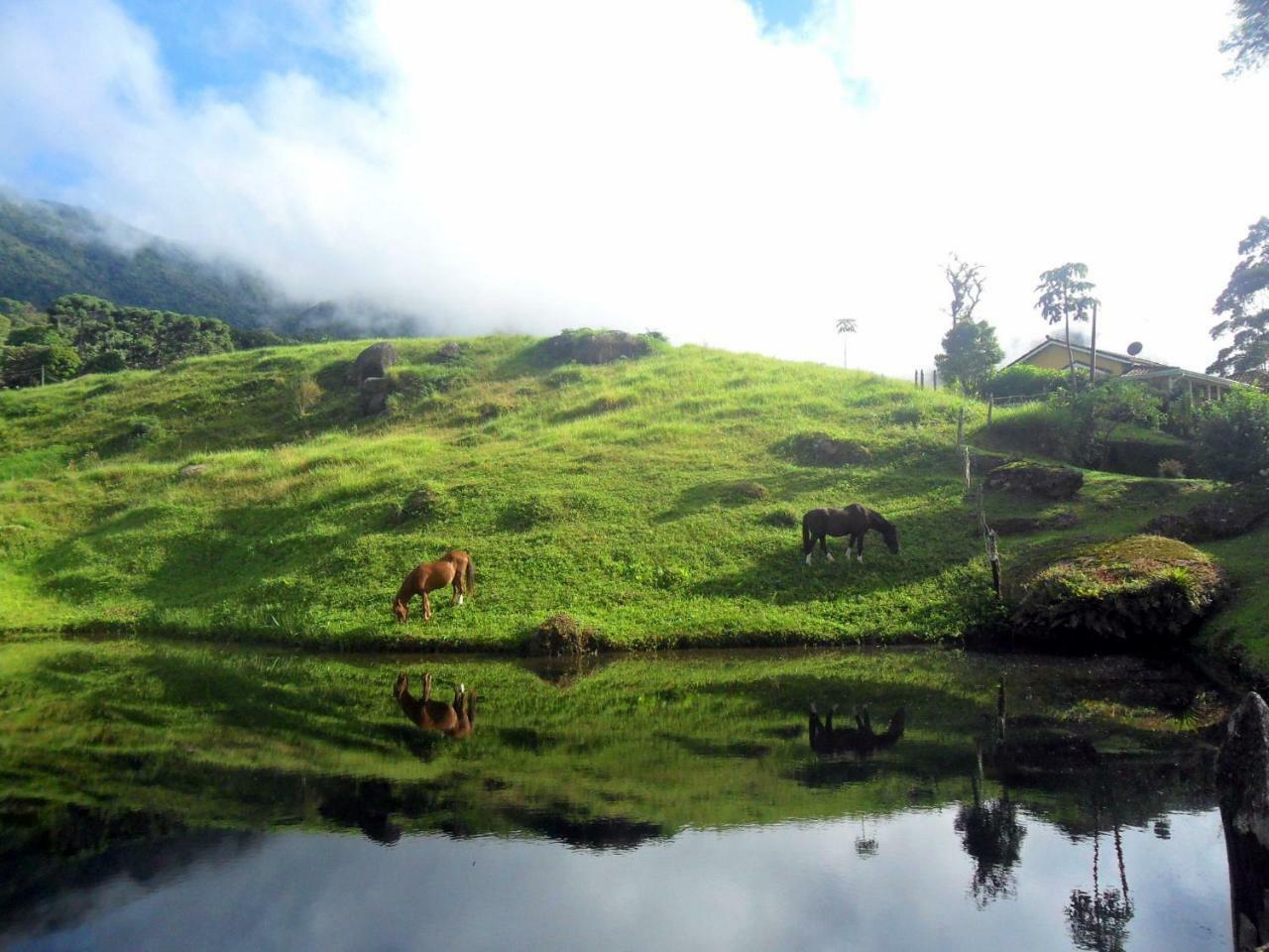 Вилла Fazenda Monte Verde A Morada Do Muriqui Сан-Франсиску-Хавьер Экстерьер фото